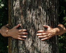 La nature, l’antistress par excellence
